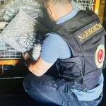 Ticaret Bakanlığı’nın 420 kg başarılı uyuşturucu madde operasyonu